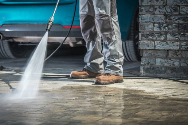 Best House Exterior Washing  in Elsa, TX