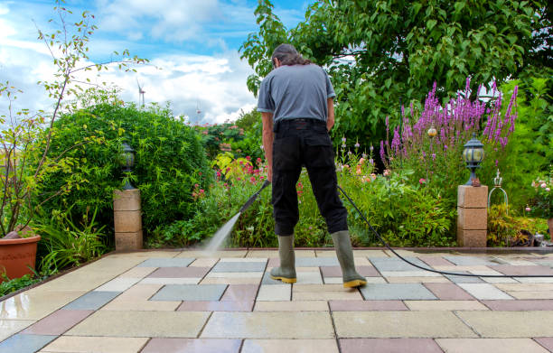 Best Fence Cleaning  in Elsa, TX